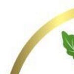 Profile picture of Limitless Pill Name. No Prescription Overnight