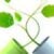 Profile picture of Pill From Limitless. Cheap